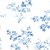 Wild Aster / XXS